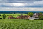 Déguster les spécialités culinaires de la Bourgogne grâce à cet hôtel