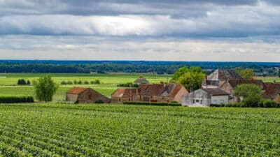 Déguster les spécialités culinaires de la Bourgogne grâce à cet hôtel