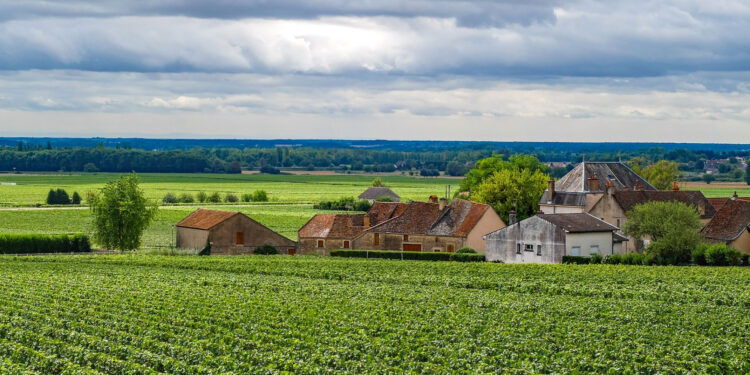 Déguster les spécialités culinaires de la Bourgogne grâce à cet hôtel