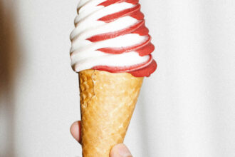Machine à glace italienne : ce qu'il faut savoir avant de se lancer